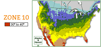 USDA zone 10 map