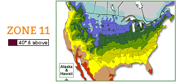 USDA zone 11 map